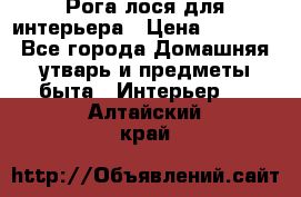 Рога лося для интерьера › Цена ­ 3 300 - Все города Домашняя утварь и предметы быта » Интерьер   . Алтайский край